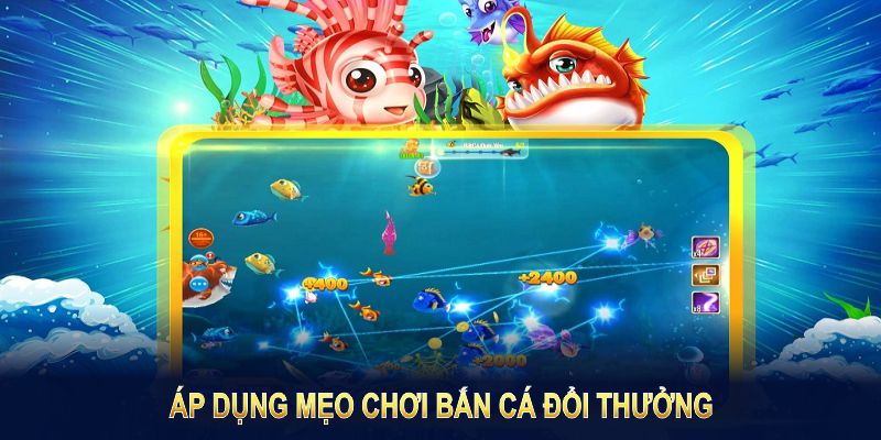 Áp dụng mẹo chơi bắn cá đổi thưởng, bạn nhanh chóng tạo ưu thế