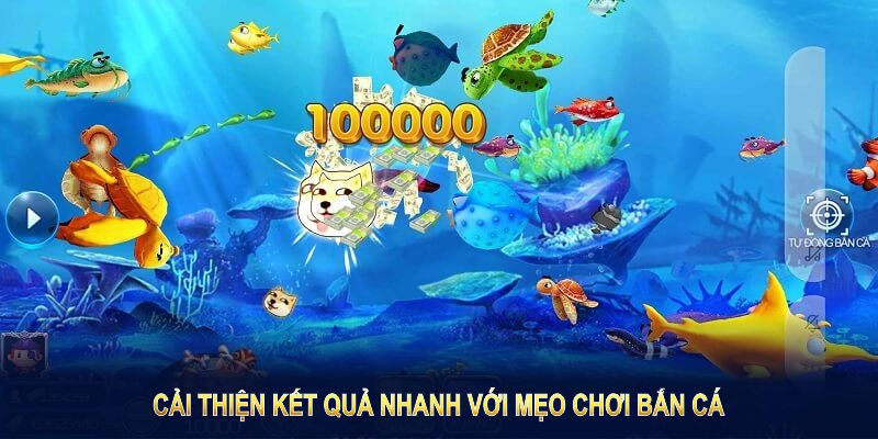 Chơi bắn cá có mẹo - cải thiện kết quả nhanh chóng