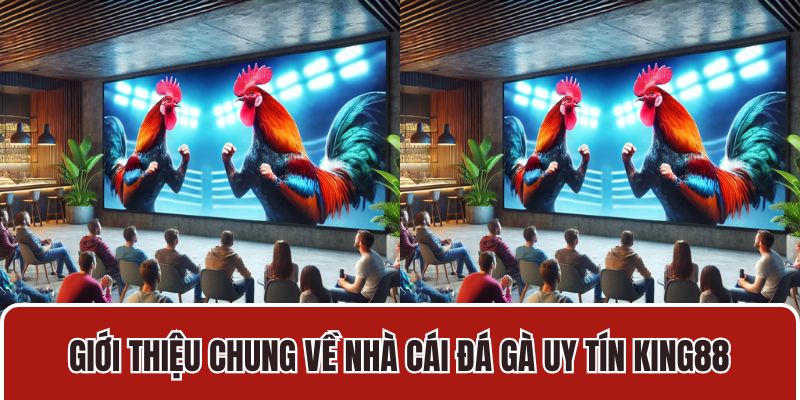 Giới thiệu chung về nhà cái đá gà uy tín King88