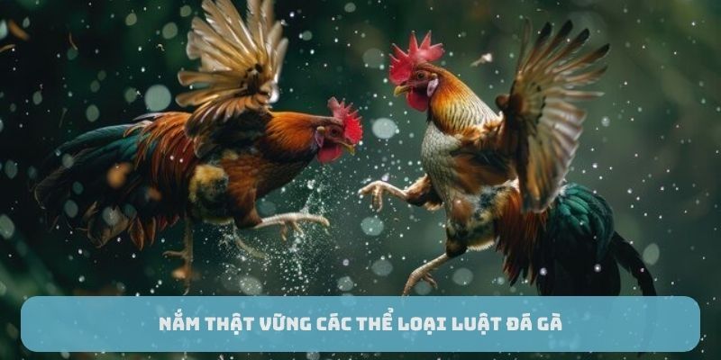 Nắm thật vững các thể loại luật đá gà