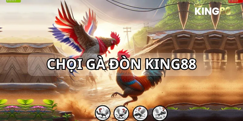 Tham gia bắt kèo những trận chọi đòn được yêu thích trên nhà cái