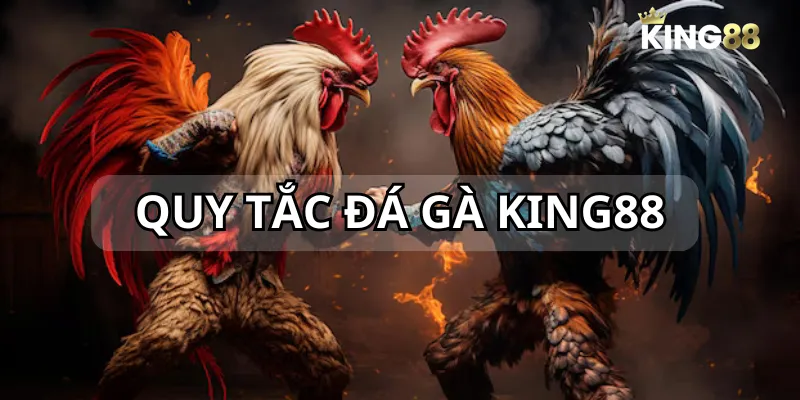 Bạn cần hiểu về các quy tắc áp dụng trong sảnh chọi kê của KING88