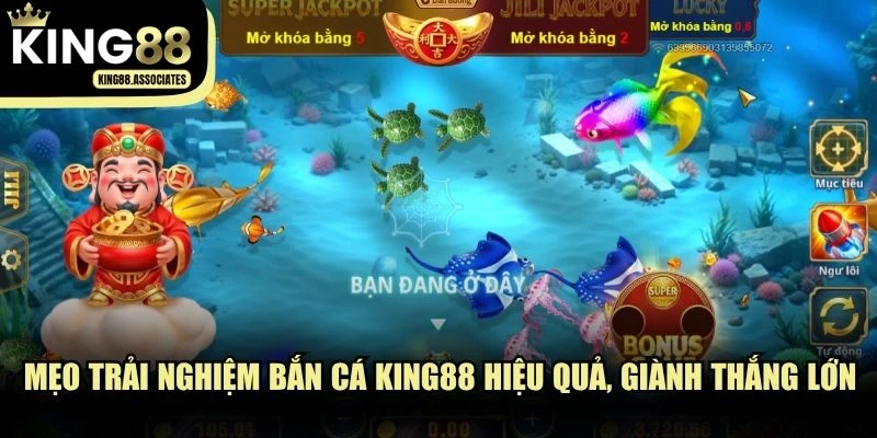 Mẹo trải nghiệm Bắn cá KING88 hiệu quả, giành thắng lớn