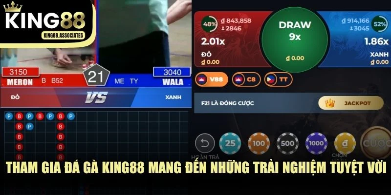 Tham gia đá gà KING88 mang đến những trải nghiệm tuyệt vời